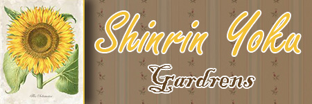 Shinrin Yoku