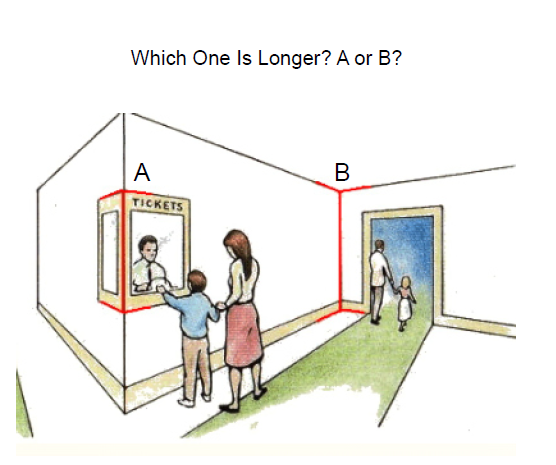 A room with red lines that appear different but are in fact the same height